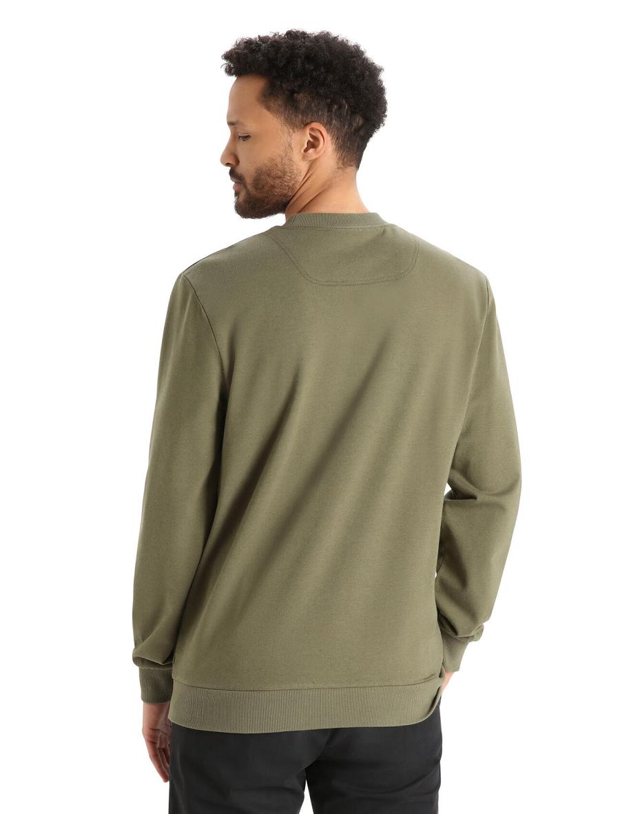 Sweat À Capuche Icebreaker Merino Central II Long Sleeve Sweatshirt Homme Vert Olive | FR 1276FDNM